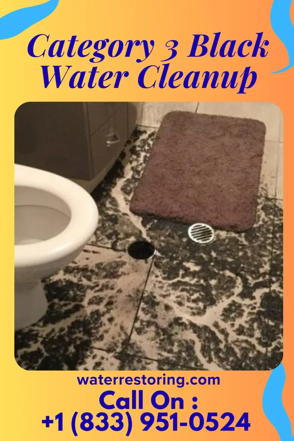 Category 3 Black Water Cleanup in Poland, OH