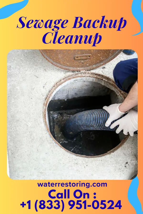 Sewage Backup Cleanup in Poland, OH