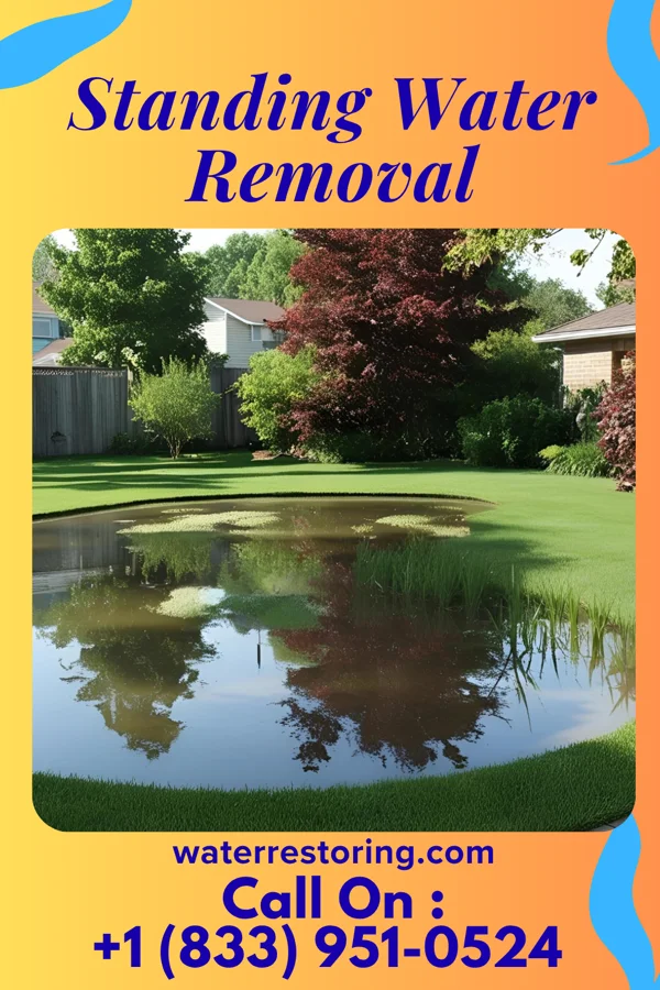 Standing Water Removal in Poland, OH
